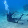 Picture taken during the dive