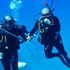 Picture taken during the dive