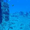 Picture taken during the dive