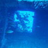 Picture taken during the dive