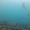 Picture taken during the dive