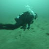 Picture taken during the dive