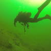 Picture taken during the dive