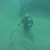 Picture taken during the dive