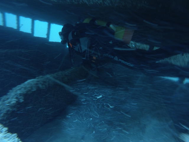 Dive Shack USA - Dive Center in Estados Unidos