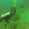 Picture taken during the dive