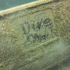 Picture taken during the dive