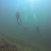 Picture taken during the dive