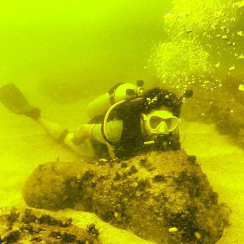 Alex Dive - Dive Center in Egypt