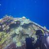 Picture taken during the dive