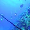 Picture taken during the dive