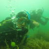 Picture taken during the dive