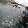 Picture taken during the dive
