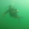 Picture taken during the dive
