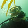 Picture taken during the dive