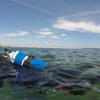 Picture taken during the dive