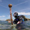 Picture taken during the dive