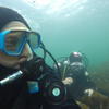 Picture taken during the dive