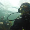 Picture taken during the dive
