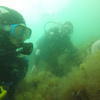 Picture taken during the dive
