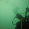 Picture taken during the dive