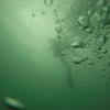 Picture taken during the dive