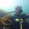 Picture taken during the dive
