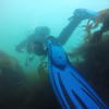 Picture taken during the dive