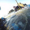 Picture taken during the dive