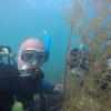 Picture taken during the dive