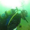 Picture taken during the dive