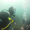 Picture taken during the dive
