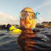 Picture taken during the dive