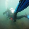 Picture taken during the dive