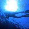Picture taken during the dive