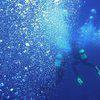 Picture taken during the dive