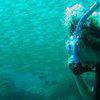 Picture taken during the dive