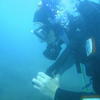 Picture taken during the dive