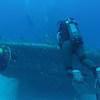 Picture taken during the dive