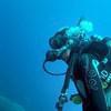 Picture taken during the dive