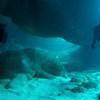 Picture taken during the dive
