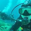 Picture taken during the dive