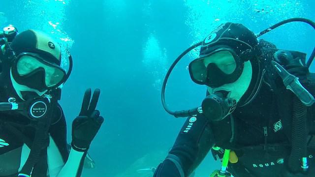 Starfish Diving Co Ltd - Dive Center