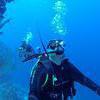Picture taken during the dive