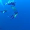 Picture taken during the dive