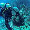 Picture taken during the dive