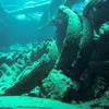 Picture taken during the dive