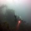 Picture taken during the dive