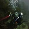 Picture taken during the dive