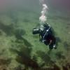 Picture taken during the dive